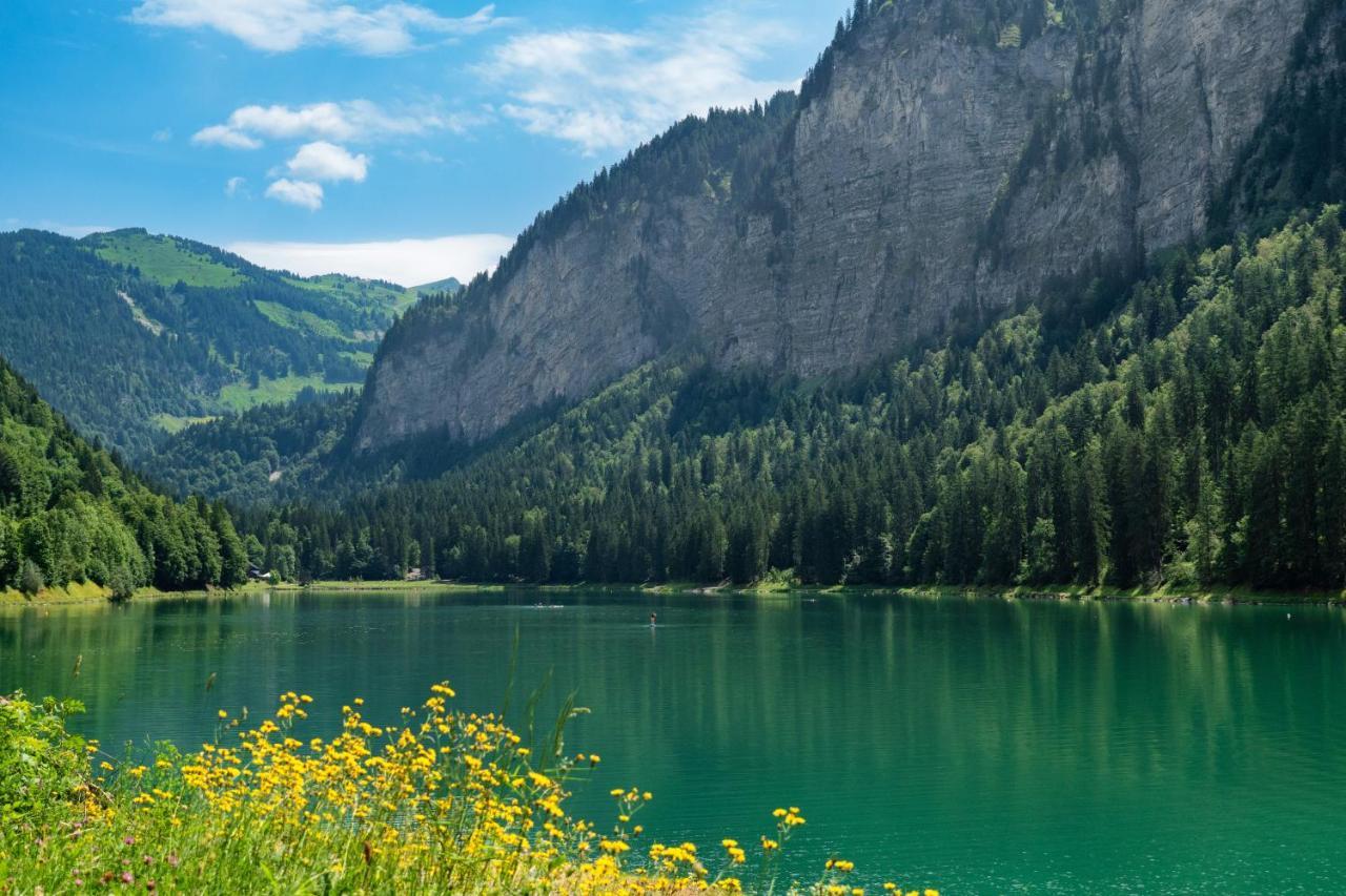 Alaska Lodge Morzine Bagian luar foto